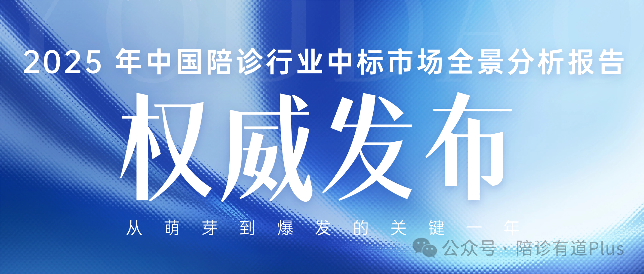 2025 年中国陪诊行业中标市场全景分析报告