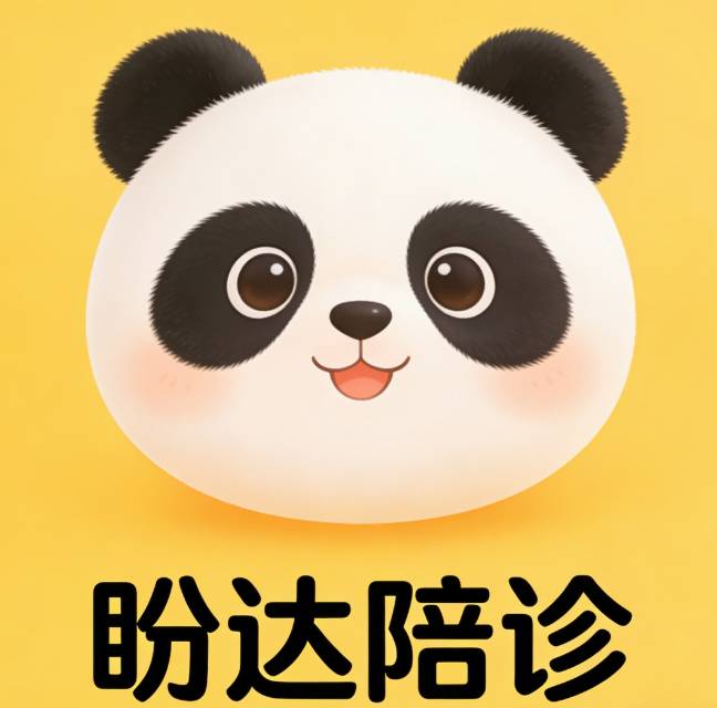 盼达陪诊
